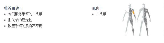 廣州草莓视频APP在线下载健身器材