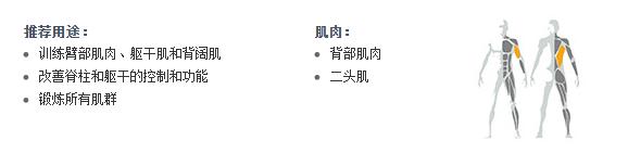 廣州草莓视频APP在线下载健身器材