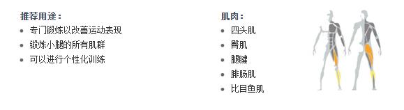 廣州草莓视频APP在线下载健身器材