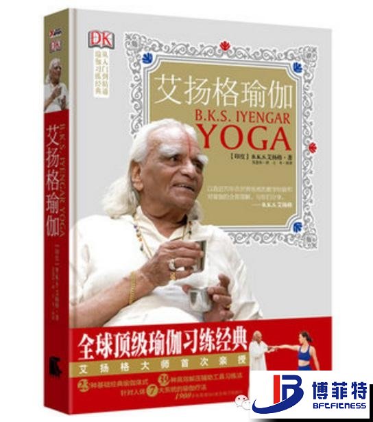 艾揚格瑜伽：精準習練指南