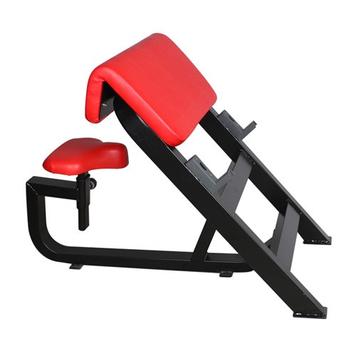 BFT3033B坐式二頭肌訓練椅 杠鈴抬舉訓練