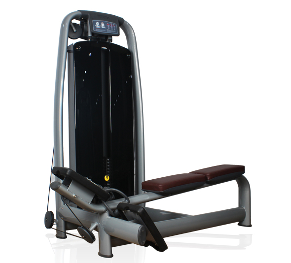 BFT2007豪華背部訓練器 低拉劃船器 坐式低拉背肌大圖展示1