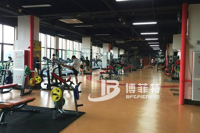 草莓视频APP在线下载健身器材