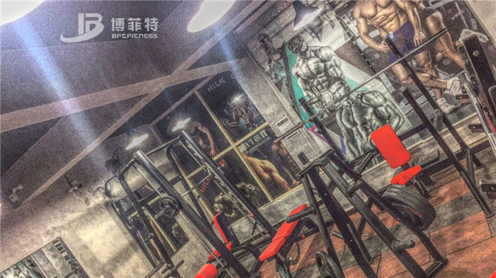 伊拉克客戶的健身房圖片 草莓视频APP在线下载健身器材案例