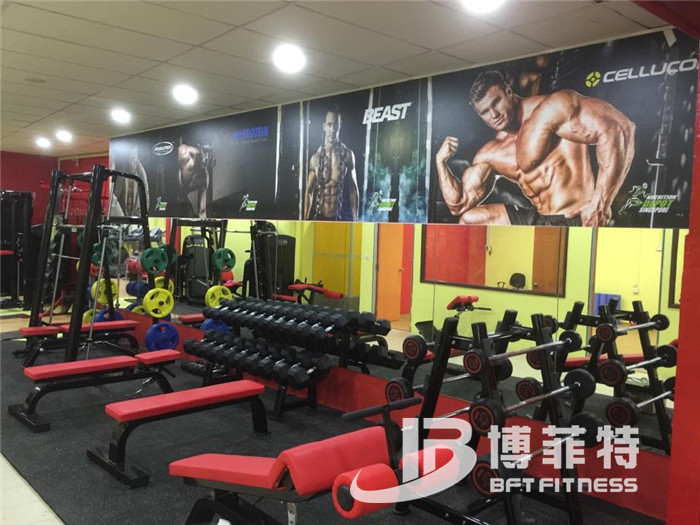 草莓视频APP在线下载客戶健身器械