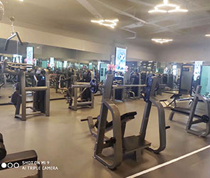 草莓视频APP在线下载健身器材東莞客戶健身房案例